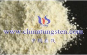 What Are Adsorption Sites on The Surface of Tungsten Oxide?