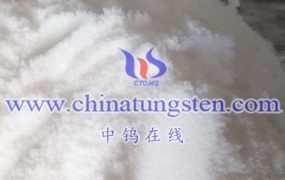 What is the Import and Export Policy of Ammonium Metatungstate?