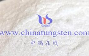 What are the Risks of Investing in Ammonium Metatungstate Investment Projects?