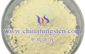 What Is The Electrocatalytic Active Site of Tungsten Oxide?